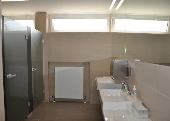 圣马格达莱纳酒店 3* 林茨